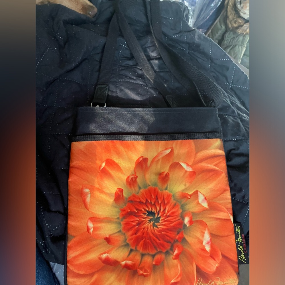 Harold Feinstein Collection Crossbody Purse